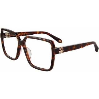 Roberto Cavalli Kvinde VRC050M 743 Optiske stel Acetat Havana Firkantet