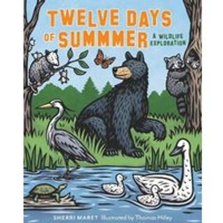 Twelve Days of Summer