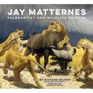 Jay Matternes