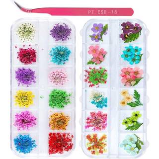 2 kasser neglekunst t?rrede blomster ute