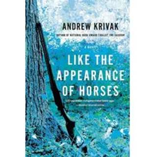 Like the Appearance of Horses