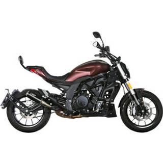 MIVV Mk 3-Udstødninger Rustfrit stål natur mat eller sort