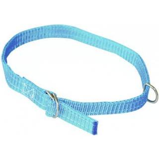 Fårehalsbånd 20mm 60cm blå