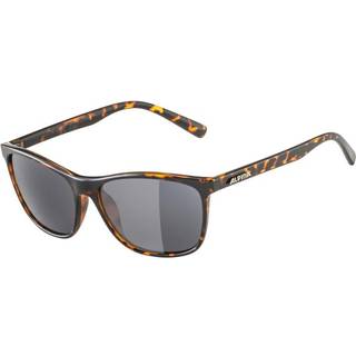 Sunglasses Alpina Jaida Havana Gloss