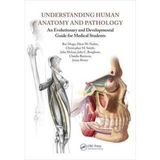 Understanding Human Anatomy and Pathology