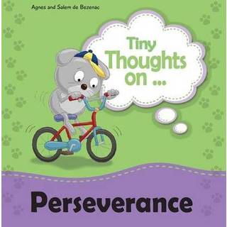 Tiny Thoughts on Perseverance