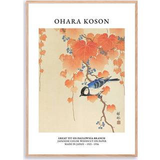 Ohara Koson Great Tit 30x40 cm