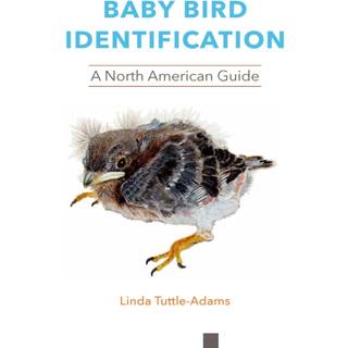 Baby Bird Identification