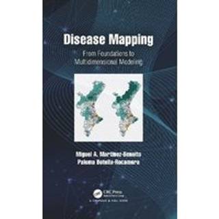 Disease Mapping