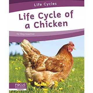 Life Cycle of a Chicken