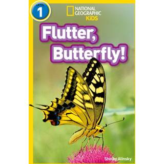 Flutter, Butterfly!
