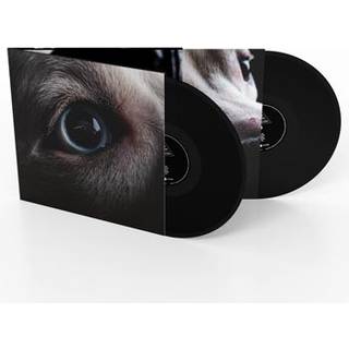 Roger Waters - The Dark Side of the Moon Redux