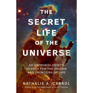 The Secret Life of the Universe