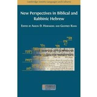 New Perspectives in Biblical and Rabbinic Hebrew