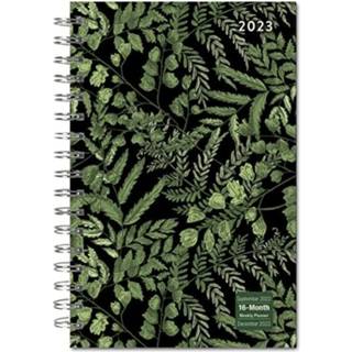 DESIGNER FANCY FERNS