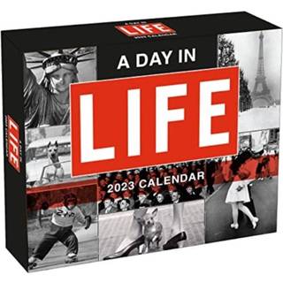 DAY IN LIFE A