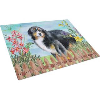 Caroline's Treasures CK1207LCB Bernese Mountain Dog Spring Glass Cutting Board Stor dekorativt tempereret glas Køkkenskæring og serveringsplade S