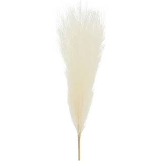 1 stk. Pampasgræs Lys Creme, 10x45 cm, elegant bryllupspynt