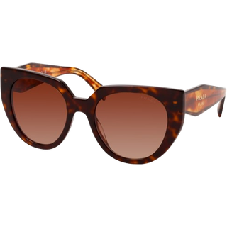 Prada Kvinde PR 14WS 2AU6S1 Solbriller Acetat Skildpadde Brun Cat Eye Normal Skygge