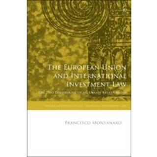 The European Union and International Investment Law
