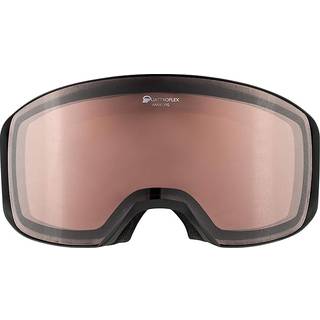 Alpina ARRIS Q / mat sort Goggles/skibriller - One size