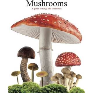 Mushrooms
