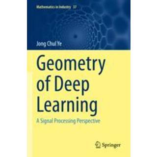 Geometry of Deep Learning