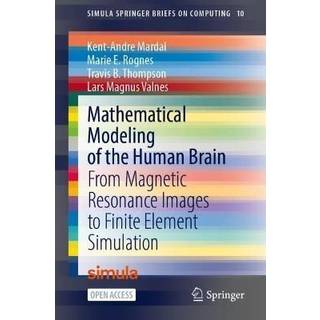 Mathematical Modeling of the Human Brain