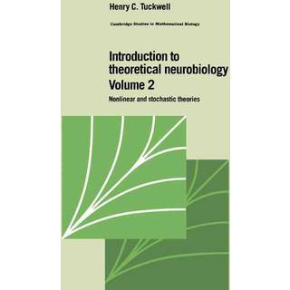 Introduction to Theoretical Neurobiology: Volume 2, Nonlinear and Stochastic Theories
