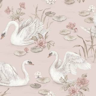 Lily Swan - Rose