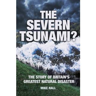 The Severn Tsunami?
