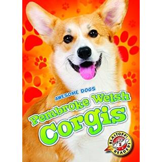 Pembroke Welsh Corgis