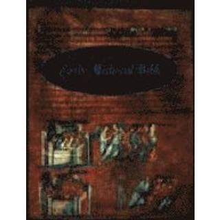 Imaging the Early Medieval Bible