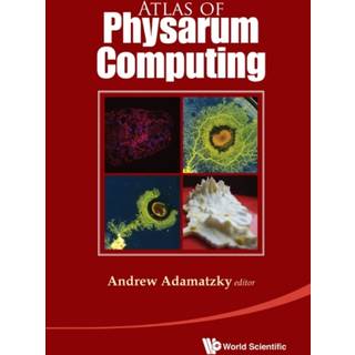 Atlas Of Physarum Computing