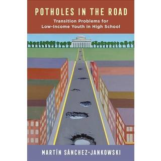 Potholes in the Road