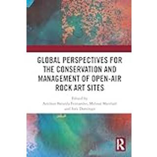 Global Perspectives for the Conservation and Management of Open-Air Rock Art Sites