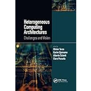 Heterogeneous Computing Architectures