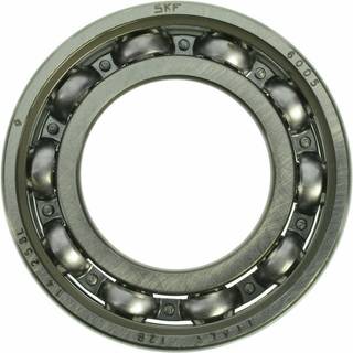 Skf Leje 6005 explorer 25x47x12