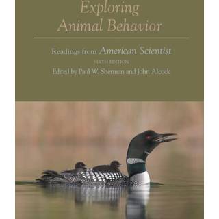 Exploring Animal Behavior