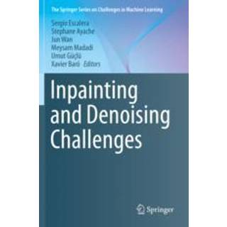 Inpainting and Denoising Challenges