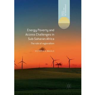 Energy Poverty and Access Challenges in Sub-Saharan Africa