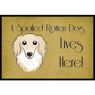 """" Caroline's Treasures BB1460JMAT Longhair Creme Dachshund forkælet hundeliv her indendørs eller udendørs mat 24 x 36 """" ""Multicolor"" ""