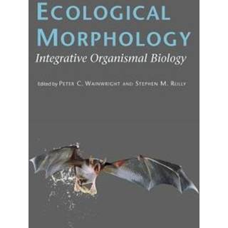 Ecological Morphology