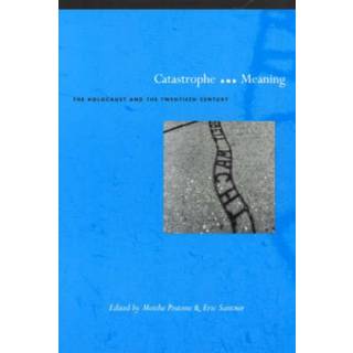 Catastrophe and Meaning