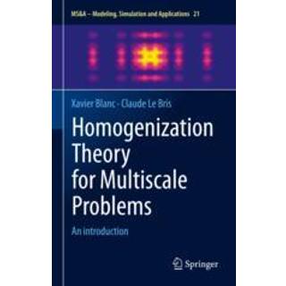 Homogenization Theory for Multiscale Problems