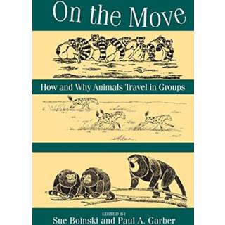 On the Move – How and Why Animals Travel in Groups