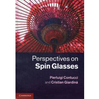 Perspectives on Spin Glasses