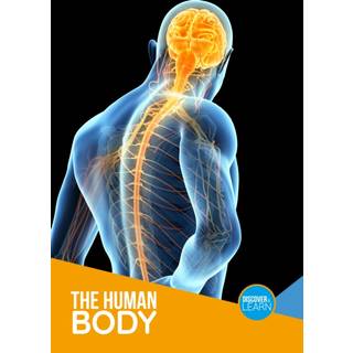 The Human Body