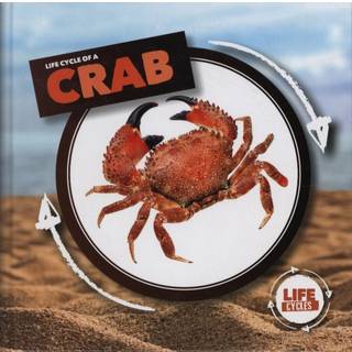 Crab