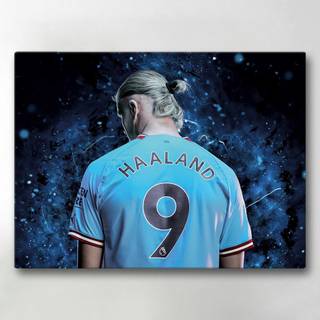 Lærredsbillede / Lærredstryk - Haaland - 40x30 cm - Lærred